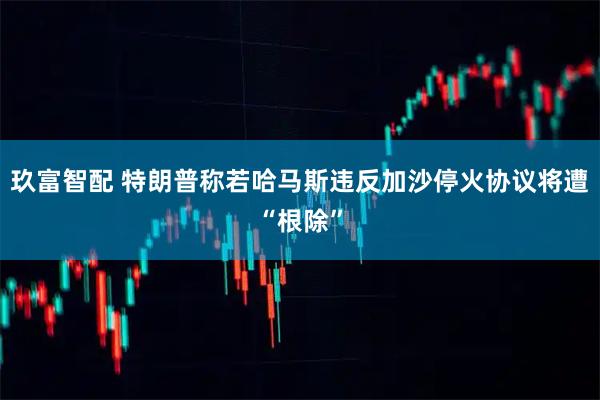 玖富智配 特朗普称若哈马斯违反加沙停火协议将遭“根除”