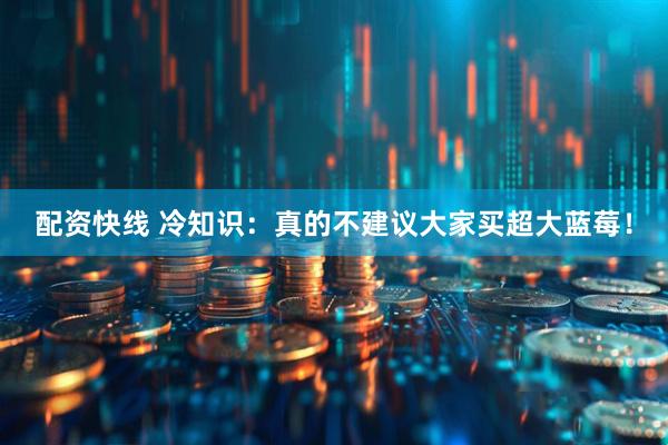 配资快线 冷知识：真的不建议大家买超大蓝莓！