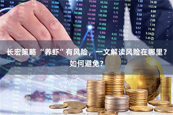 长宏策略 “养虾”有风险，一文解读风险在哪里？如何避免？