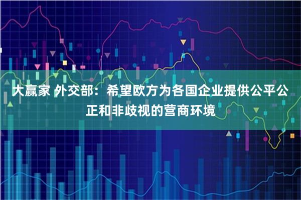 大赢家 外交部：希望欧方为各国企业提供公平公正和非歧视的营商环境